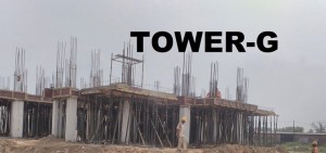 tower-g