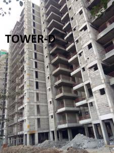 TOWER-D